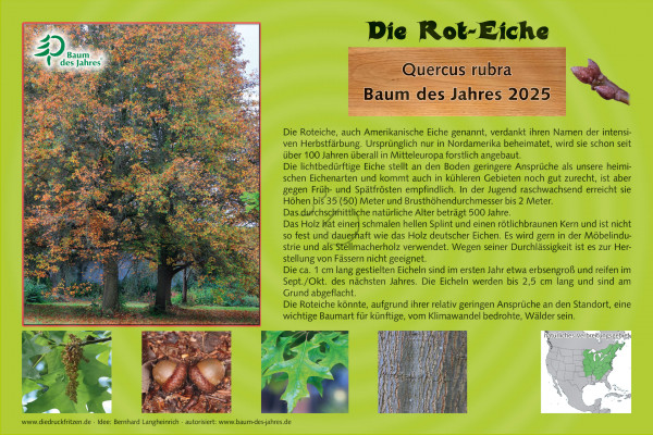 Baum des Jahres - Schild